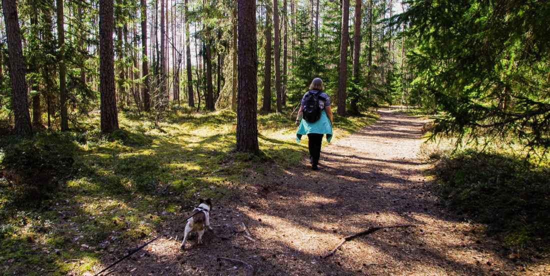 woman wearing black backpack walking on the forest with her dog
